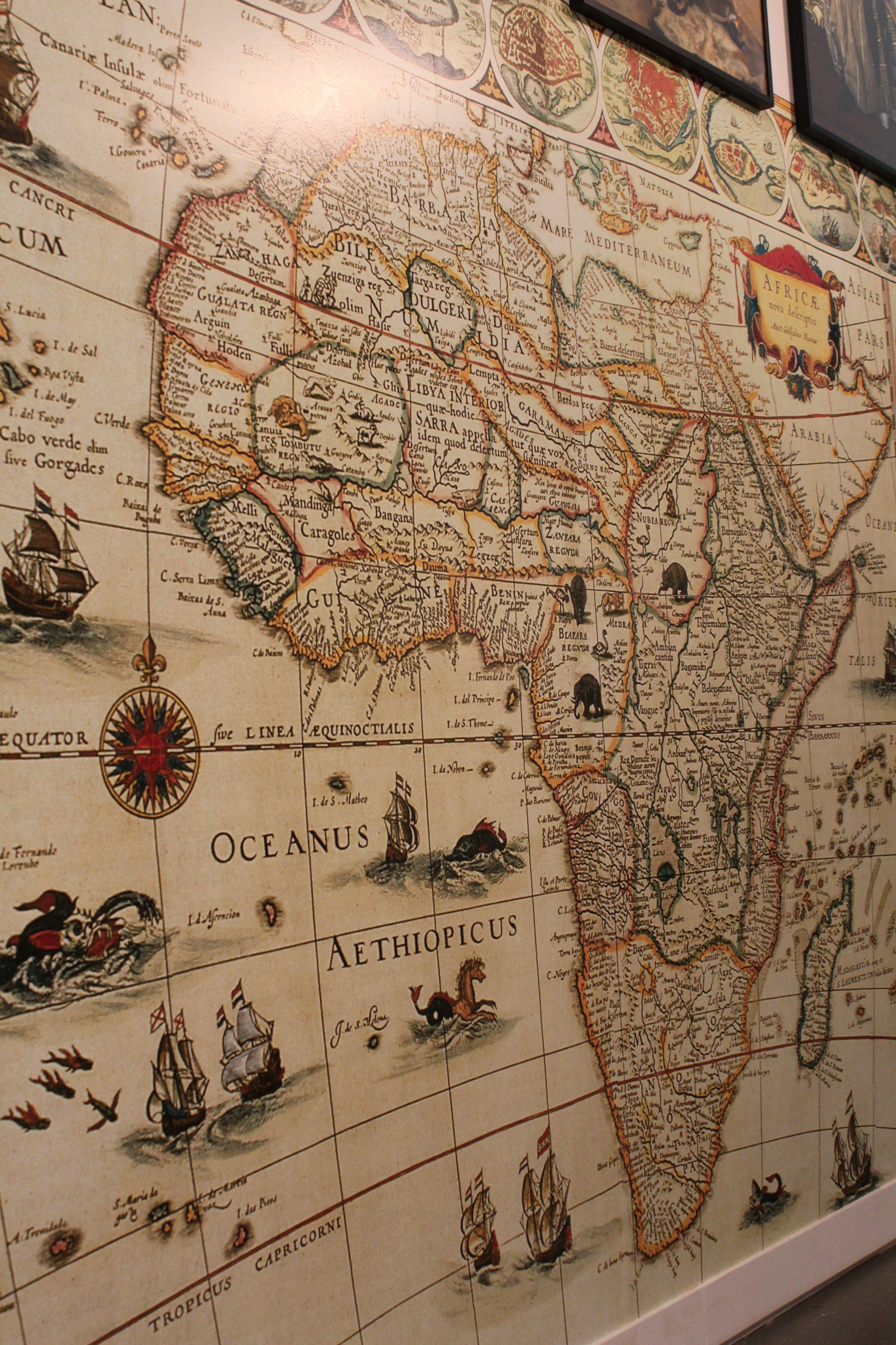 Brazilian Black history